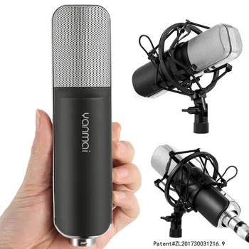 

Professional Condenser Studio Broadcast & Recording Microphone +Shock Mount