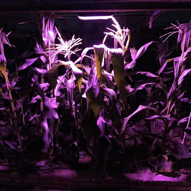 50 Вт Светодиодный светильник для выращивания полный спектр светодиодный Фито лампа 220 В 100 Вт Водонепроницаемый Урожай лампа для выращивания растений для внутреннего теплицы гидропоники
