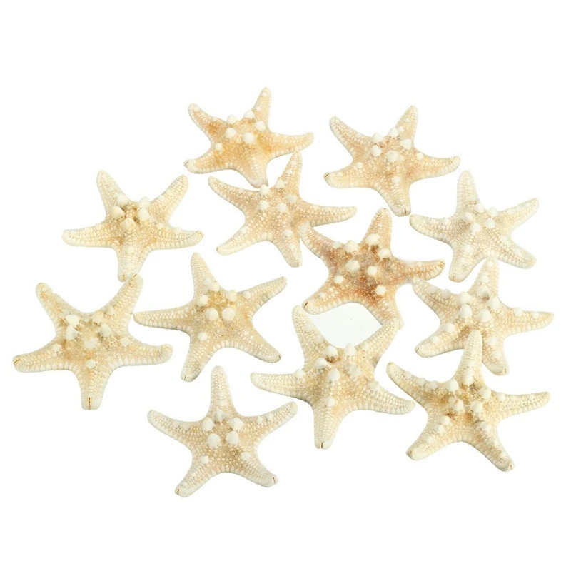 

12 x White Knobby Starfish 5cm -7cm Sea Star Shell Beach Wedding Display Craft Decor