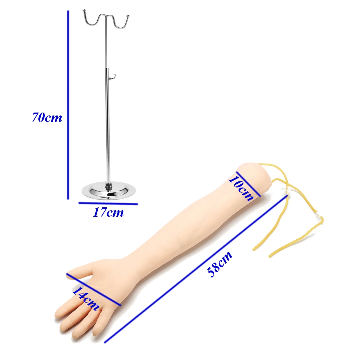 IV практика рука Phlebotomy Venipuncture модель с кронштейном рука взрослого человека Venipuncture обучение школы образовательная медицинская модель новая