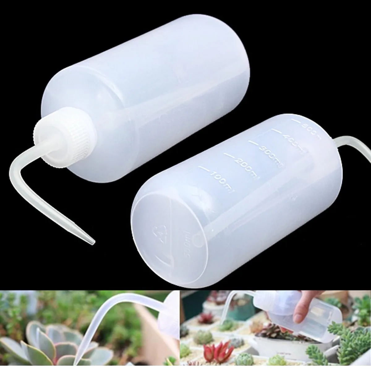 Buy 10pcs 16oz 500ml Succulents Special Plant Flower