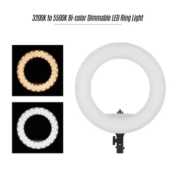 

LED Ring Light 3200K-5500K 38W 192pcs LED Anchor Live Light Ring Video Lamp for Makeup Camera Phone Video Shooting US Plug