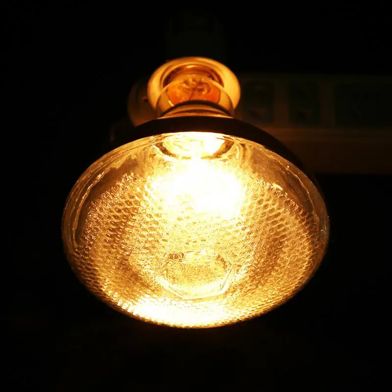 E27 Pet Heating Lamp Reptiles Infrared Emitter Heat Light Bulb Chicken  Piglet Heating Insulation Light Pet Brooder Lamp| | - AliExpress