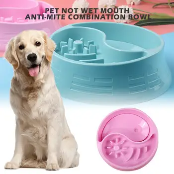 

Pet Water Feeder Slow Food Bowl Anti Choke Double Bowl