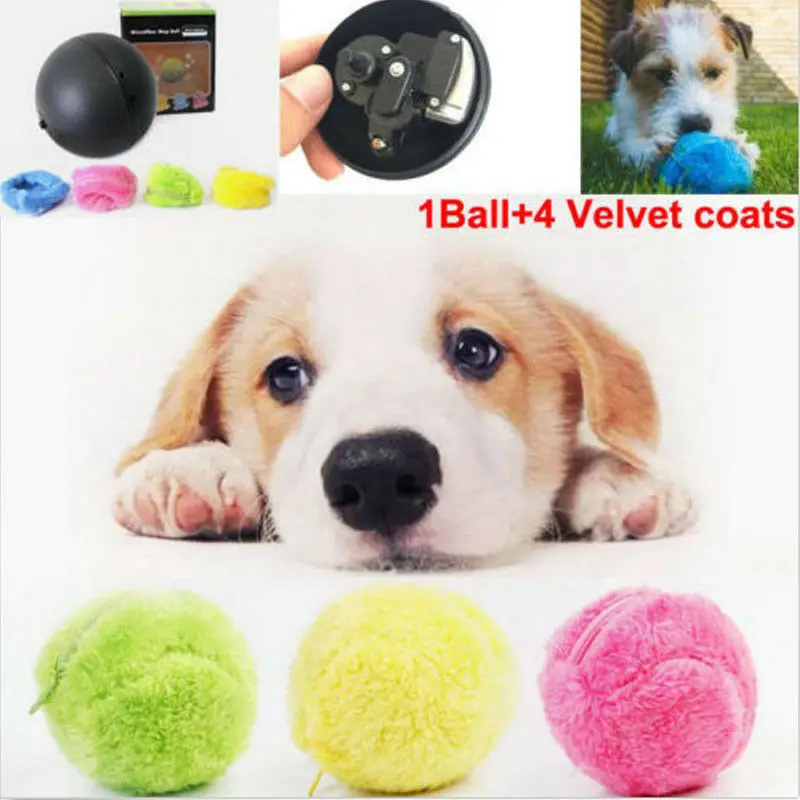 

New Arrival Practical Magic Roller Ball Toy Nontoxic Safe Automatic Roller Ball Magic Ball Dog Cat Pet Interactive Toy Dropship
