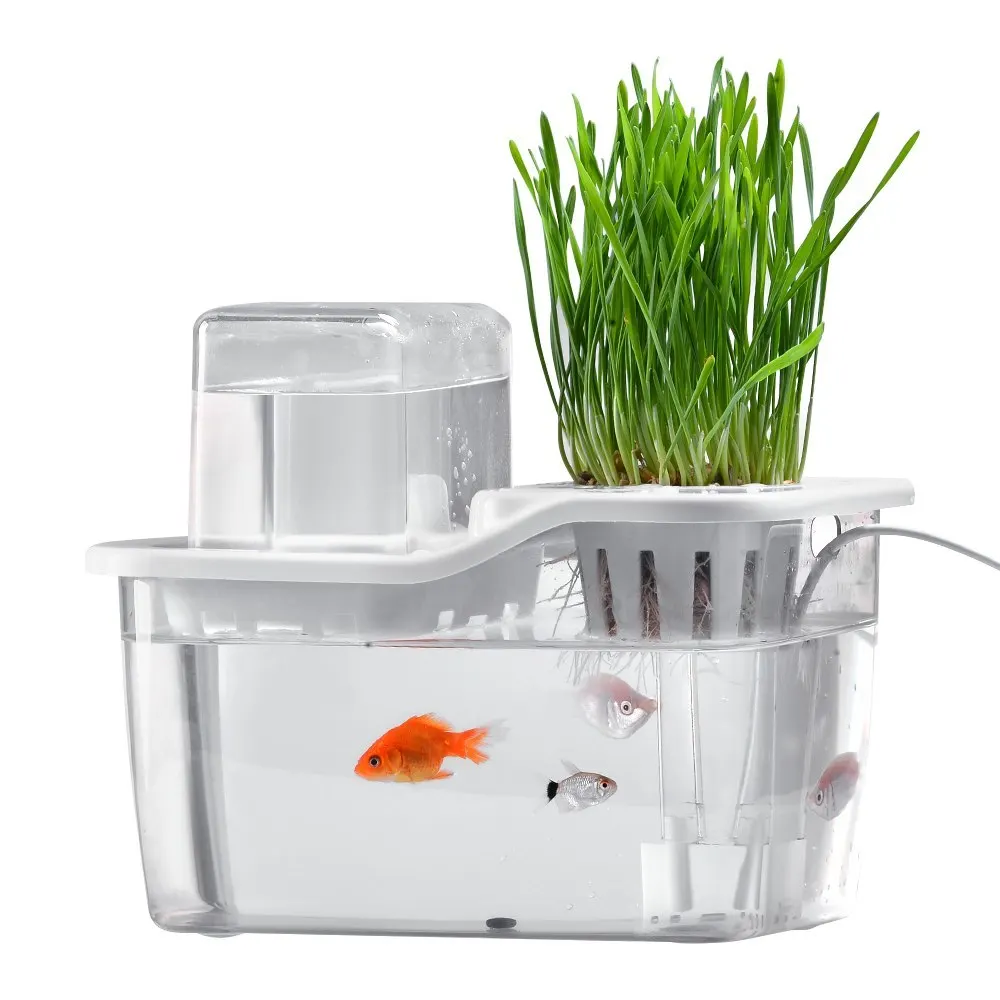 

Fish Tank Aquaponics Ecosystem Hydroponics Fish Aquatic Pet Aquarium Water Garden Ecological Fish Tank Transparent Aquarium