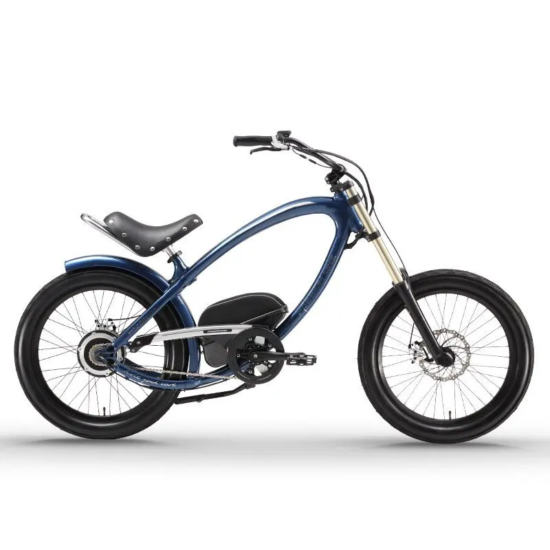Clearance Daibot Electric Bike 36V Two Wheels Electric Scooters 24 Inch 250W Beach Snow Bike Range 80KM Smart Electric Bicycle 1