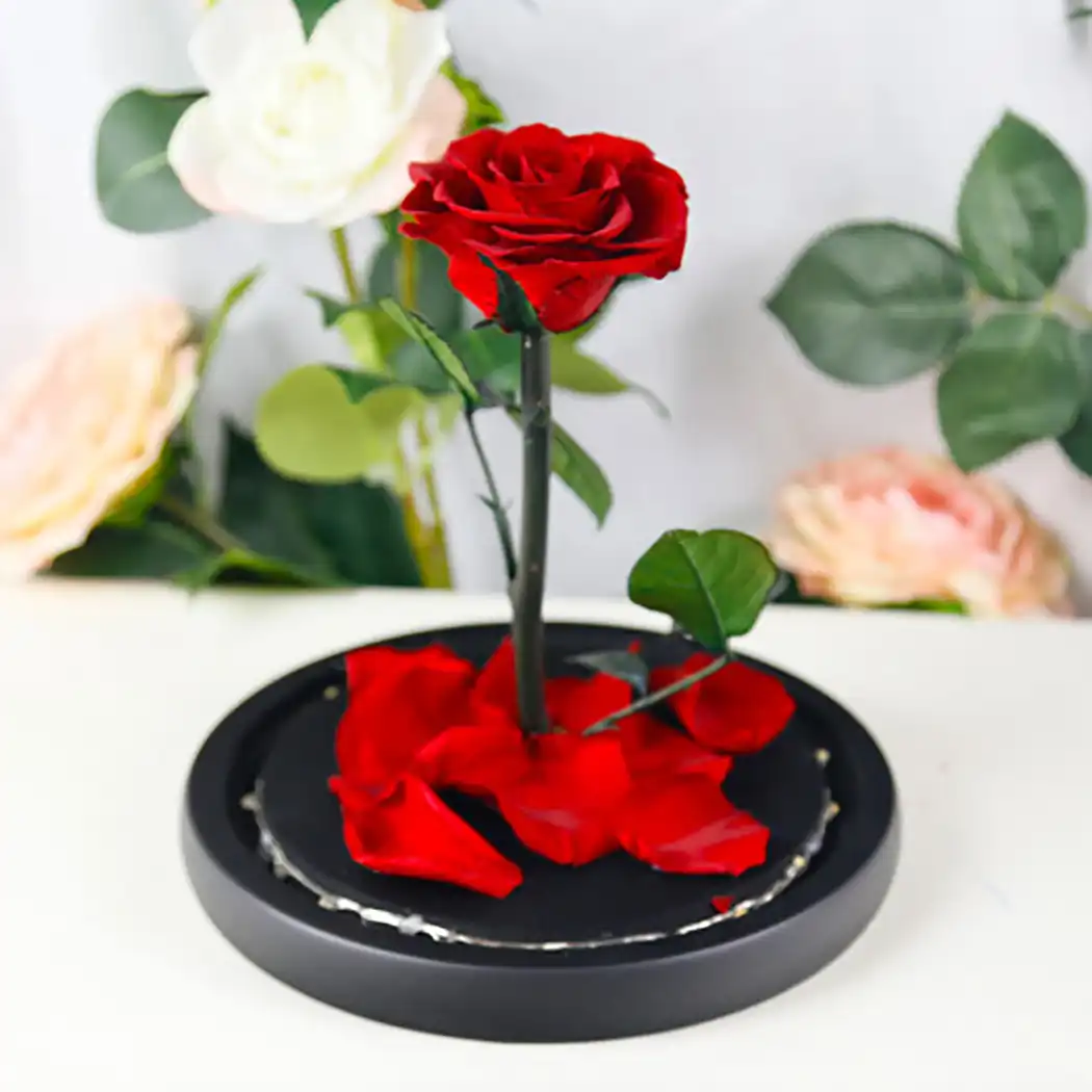 Led Beauty Rose And Beast Battery Power Red Flower String Light
