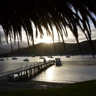 Waikawa Bay возле Picton Marlborough Sounds South Island Новая Зеландия печать Дэвида Уолла (17x11) | Дом и