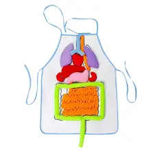 Baby Toys Of Human Organs Early Education Teaching Utensils For Children Three-dimensional Puzzle Organ Apron Science Family