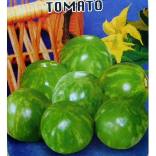 

Yingying green face color tomato bonsai 200 pcs Hot healthy vegetable bonsai