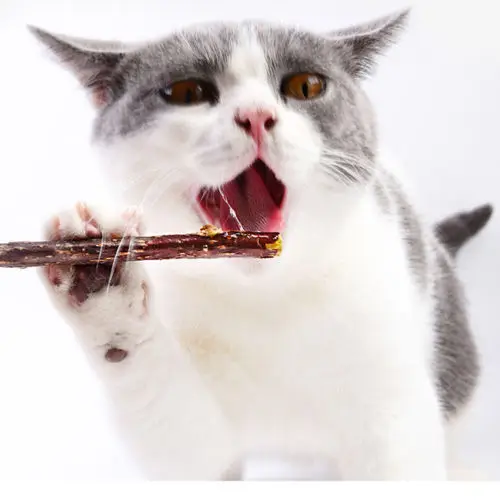 10PCS Pet Cat Pure Natural Catnip Toy Branch Cleaning Teeth Silver vine Cat Snacks Sticks Pet Supplies 10PCS Pet Cat Pure Natural Catnip Toy Branch Cleaning Teeth Silver vine Cat Snacks Sticks Pet Supplies