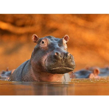 

Cute Hippo Diamond Painting Full Drill 5D Diy Embroidery Kit For Home Wall Decor