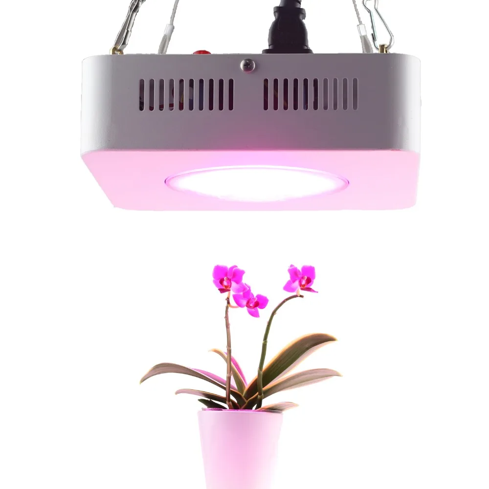 

Cheapest Price Wholesale Multipurpose Full Spectrum Greenhouses 50W/100W/200W Led Grow Light