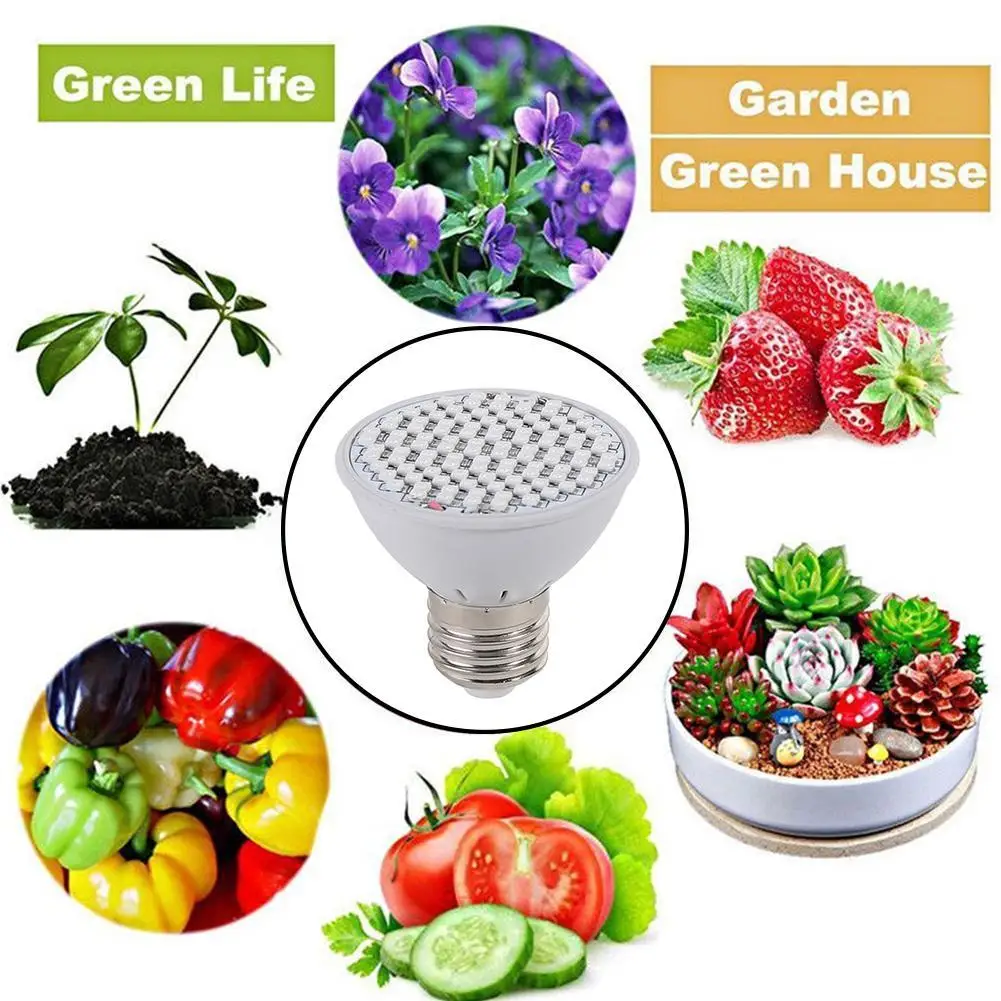  6w LED Grow light Full Spectrum Indoor Plant lamp Flexible Desk Holder Clip