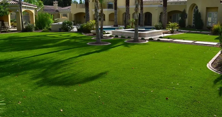 garden turf grass (64)