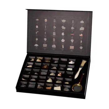 

32 Pieces Fossil Set Includes 30 Pieces Natural Paleontological Fossil Specimen Collection
