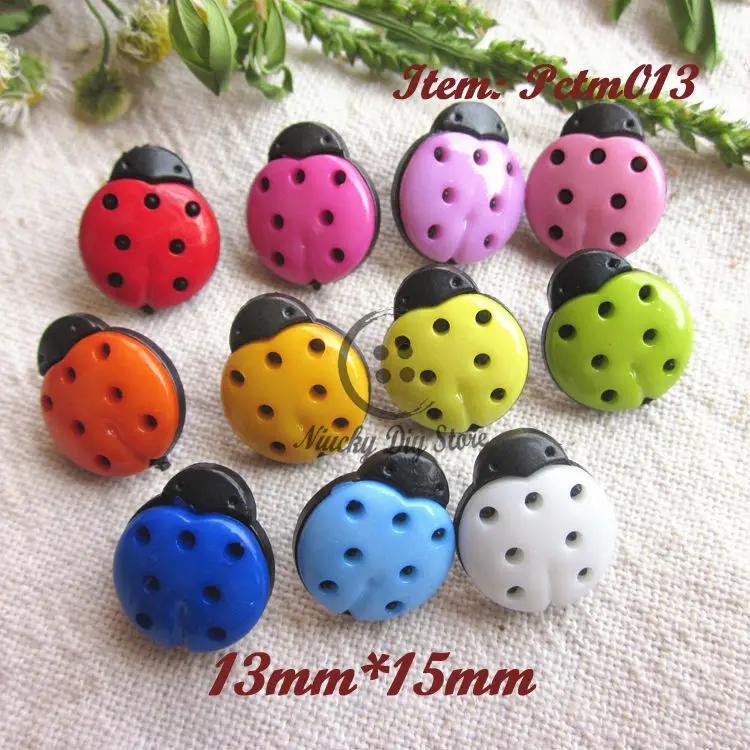 Pctm013b