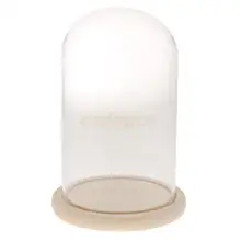 MagiDeal боросиликатное жаростойкое стекло дисплей стеклянная крышка цветок Клош купольная банка с деревянной основой центральные украшения