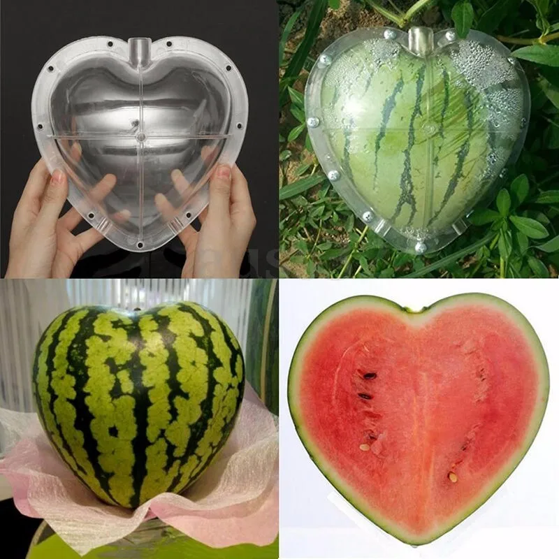 LBER Big Size Plastic Clear Heart Watermelon Growing Mold Transparent