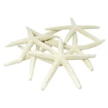 New-12PCS estrella de mar blanca 5-10cm estrella de mar decorativa de cinco dedos(China)