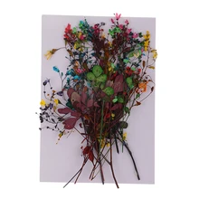 14 шт. натуральный настоящие сухие цветы листья для DIY ручной работы дома орнамент Craft