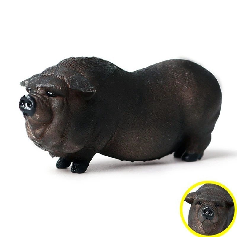 Имитация игрушка в виде дикого животного Вьетнам свиная ферма черная свинья дикого кабана модель Твердые Статические украшения