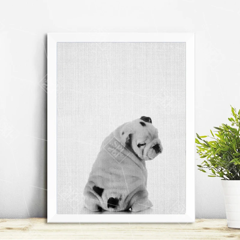 

England Bulldog Canvas Art Prints and Poster , Fun Pet Dog Butt Photography Canvas Painting Pictures Nursery Home Wall Art Decor