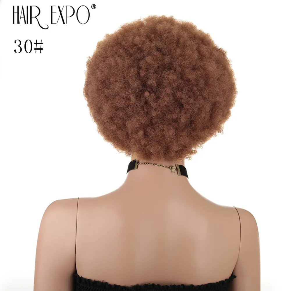

10inch Short Hair Afro Kinky Curly Wig For Black Women Heat Resistant Fluffy Synthetic Ombre Cosplay Wigs Hair Expo City