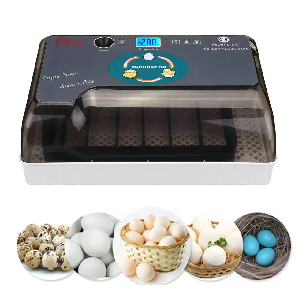 General 12 Eggs Mini Automatic LED Digital Eggs Incubator Hatcher Turning Machine For Chicken Duck Bird Goose Eggs General 12 Eggs Mini Automatic LED Digital Eggs Incubator Hatcher Turning Machine For Chicken Duck Bird Goose Eggs