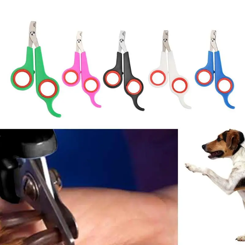 

Stainless Steel Pet Nail Toe Clipper Scissors Dog Cat Claw Grooming Trimmer Tools for Dogs Cats Nail Cutting Cutter Pet Products