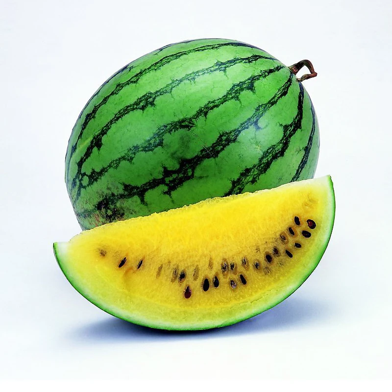 

Balcony Plants Virgo bonsai bonsaied Watermelon bonsai Plant Species Easy To High - Yield 10pcs