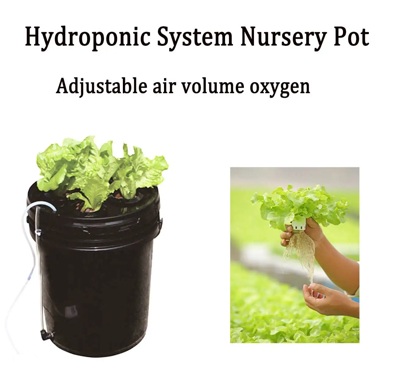 110V Hydroponic System Nursery Pot Garden Indoor Planter Barrel Soilless Seedling Vegetable Flower Grow Kit Adjustable Oxygen