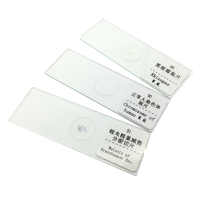 91 Pieces Mixed Microscope Prepared Slides Biological Teaching Studying Middle School Student Children Birthday Gift