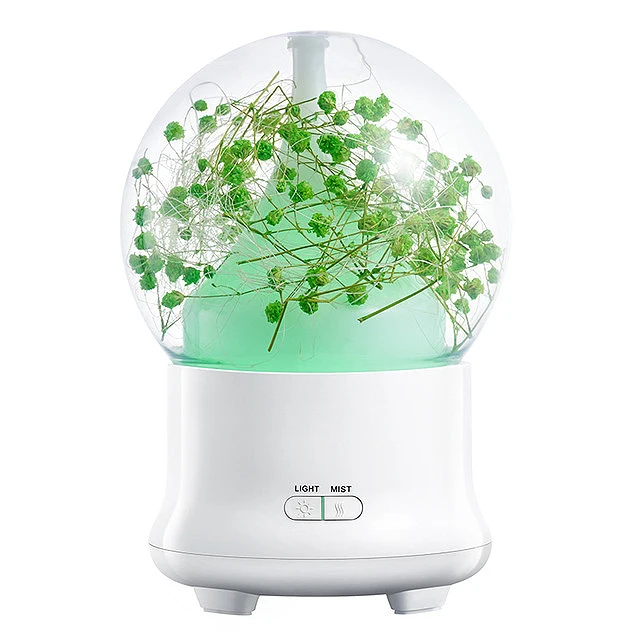 

Us Plug Gift Preserved Fresh Flower Essential Oil Aroma Diffuser Ultrasonic Humidifier With Changing Night Light Beautiful Sou