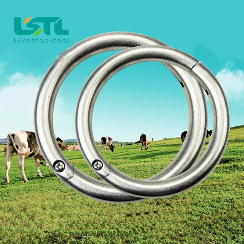 

Livestock Cattle Bull Large Number of Ox Nose Ring Cattle Baoding Machine Cow Nose Clip Cow Nose Ring Cattle with Instrument15