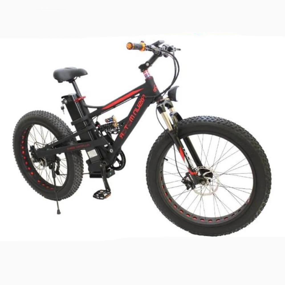 48 volt 1000 watt e bike battery