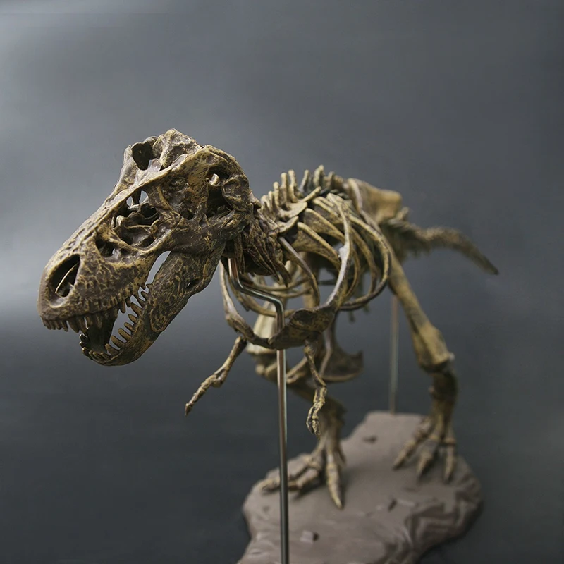 AFBC большой динозавр ископаемое череп игрушки модельки животных тираннозавр рекс собрать скелет модель предметы мебели Decoratio