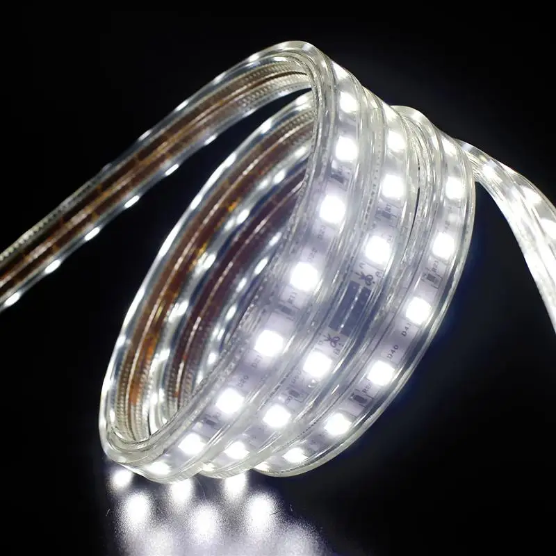 cheap Led Strip Cold White 5M Led Tape Light With Eu Power Plug Lighting Christmas Light Decoration Outdoor 220V Waterproof Smd 5050