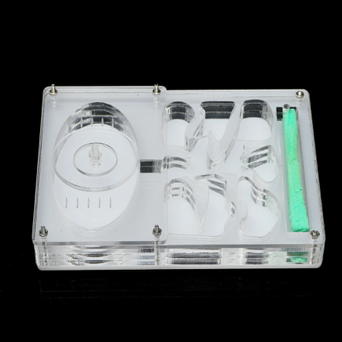 

Transparent 3D Nursery Ant Farm Formicarium Insect Nest Maze Novelty Habitat Feeding System Plastic Ant Boxes