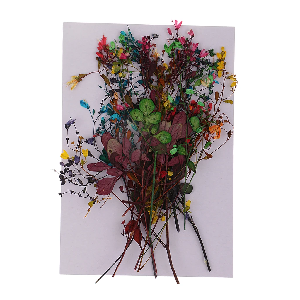 14 шт. красочные натуральные настоящие прессованный высушенный Цветы Листья для художественного ремесла скрапбукинга свадебные искусственные украшения