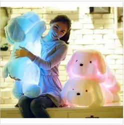 2019 Новый Бесплатная Доставка 50 см Длина Творческий ночь светодиодная прекрасная собака плюшевый c наполнителем игрушки, лучшие подарки для