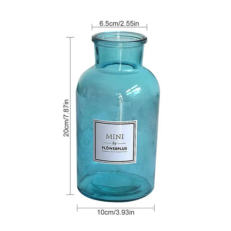 Simple Fashion Glass Vase Nordic Style Frosted Hydroponic Photo Props Transparent Hot Stamping Glass Vase Home Decoration