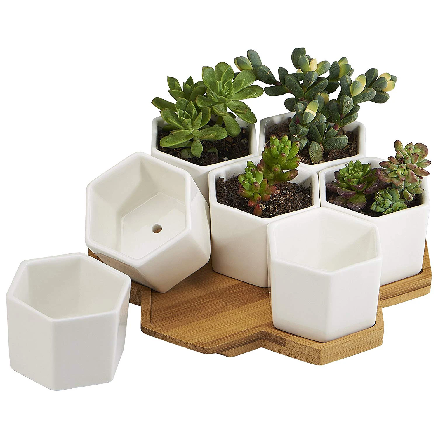 

Planter Pots Indoor, 7 Pack 2.75 Inch Modern White Ceramic Small Hex Succulent Cactus Flower Plant Pot with Bamboo Tray for In