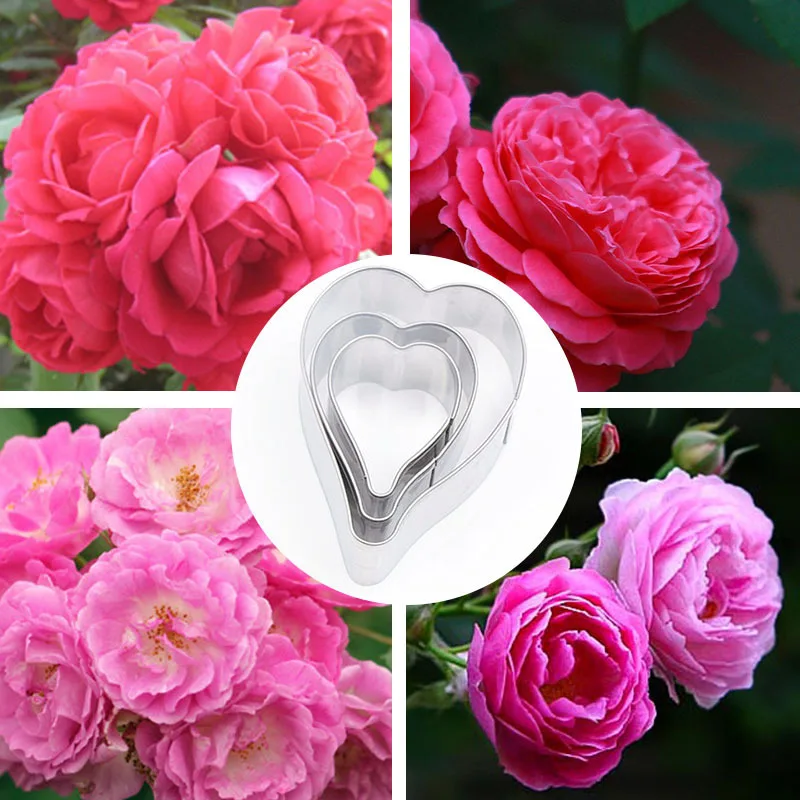 

Stainless Steel Cutting Mould Rose Petal Shape Soft Polymer Clay Tools Seramik Aletleri