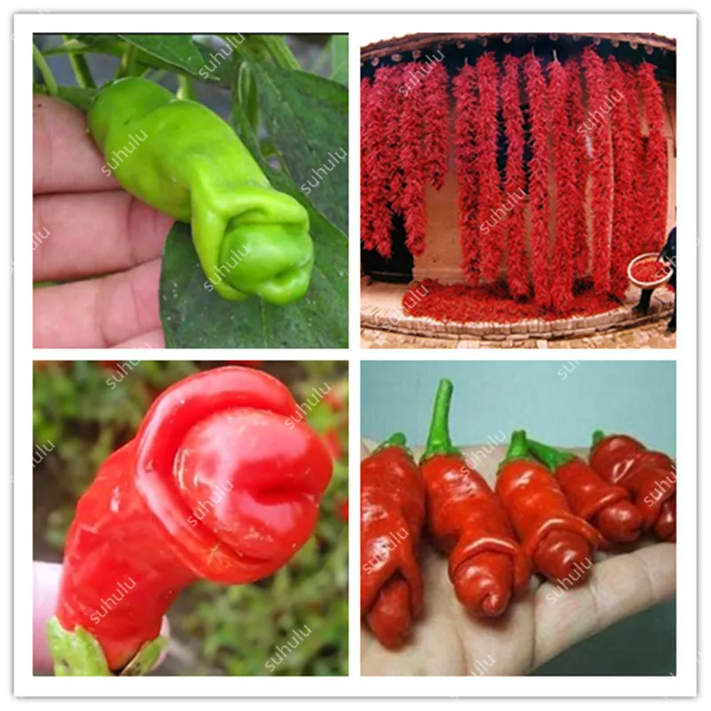 

Penis Chili Red Hot Peter Pepper Bonsai, 100 Pcs Organic Vegetables Fruit Bonsai The Most Funny Peppers plants Home Garden