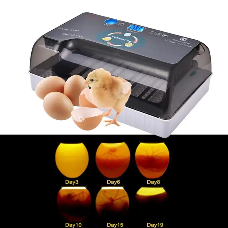 

Incubator Egg Incubator Digital Fully Automatic Hatcher for Duck Egg Bird Turkey Home Use