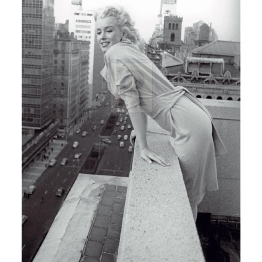 Top of the World Poster Print by The Chelsea Collection (24 x 36) | Дом и сад