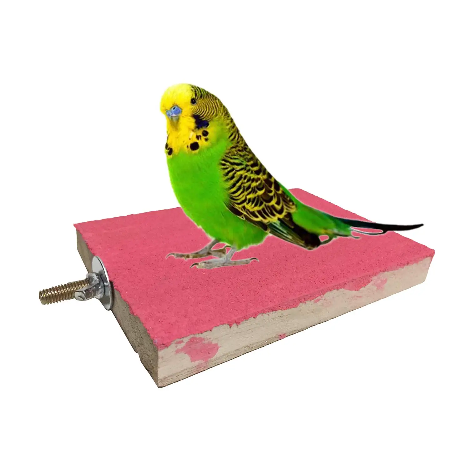 Beli Lber Pak 5 Burung Mengunyah Mainan Burung Menggantung Bell Burung Tangga Burung Peliharaan Kandang Hammock Ayunan Burung Parkit, burung Cockatiel, Macaw, P