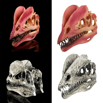 

1pc Resin Crafts Dinosaur Tooth Skull Fossil Model Collectibles Teaching Skeleton Model Halloween Home Bedroom Decor